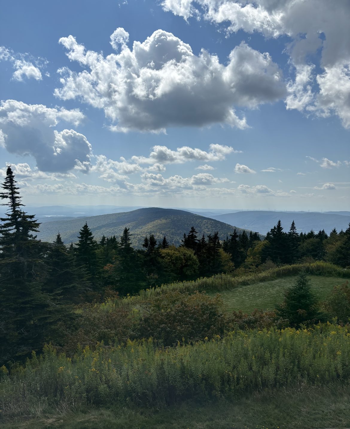 Mount Greylock