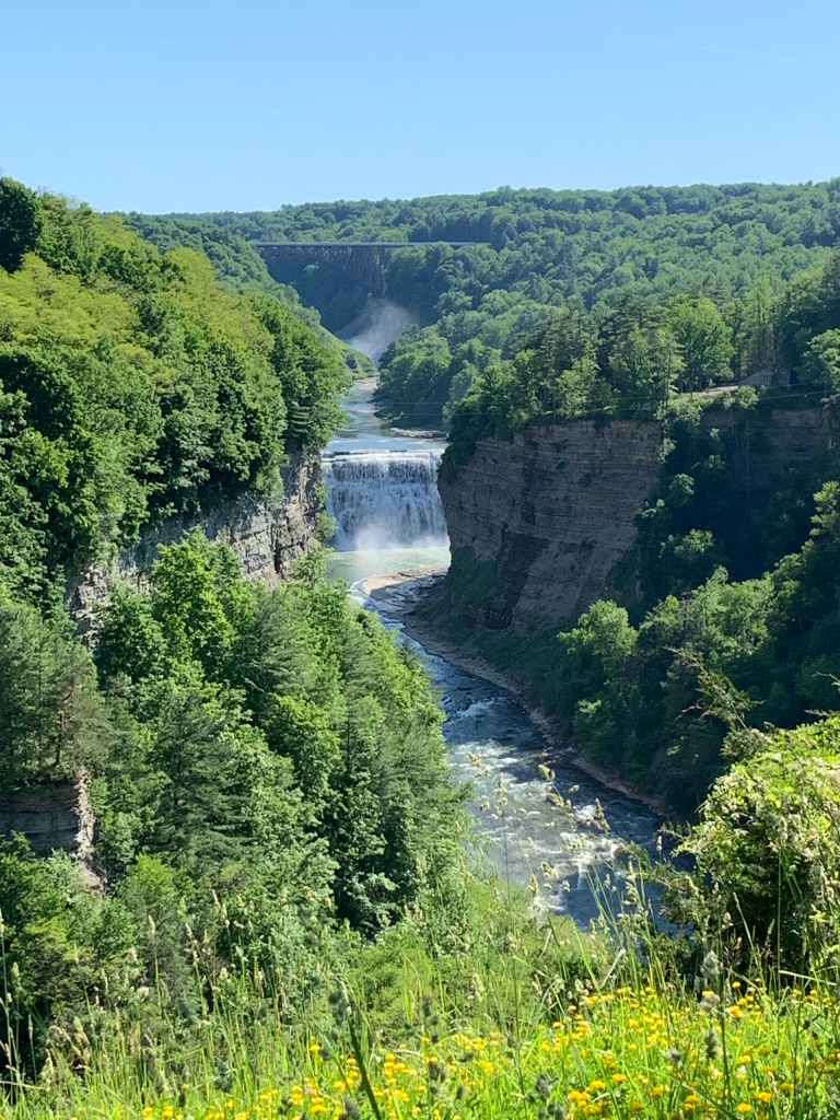 Genesee Arch Bridge