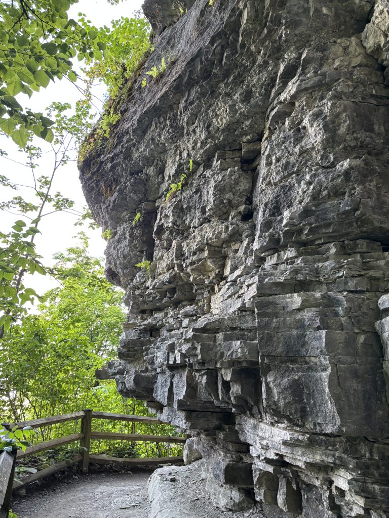Escarpment rock formations.