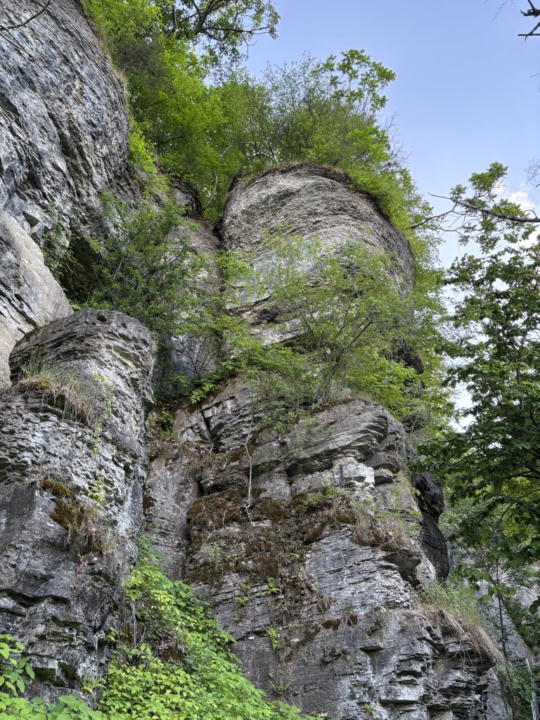 Escarpment rock formations.