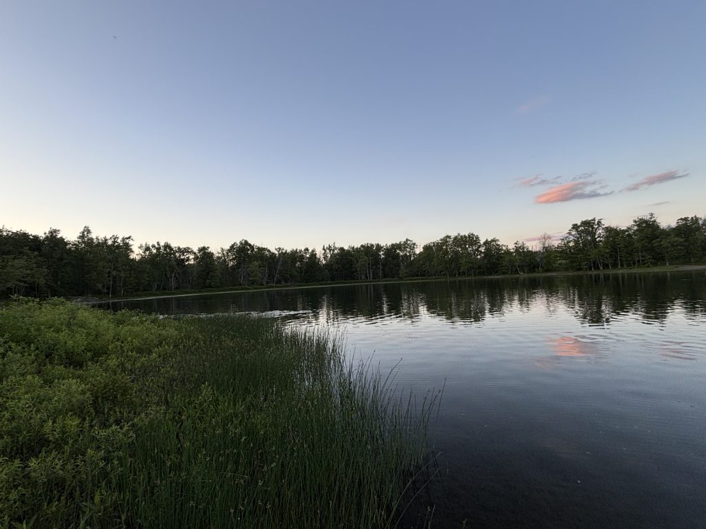 Thompson's Lake